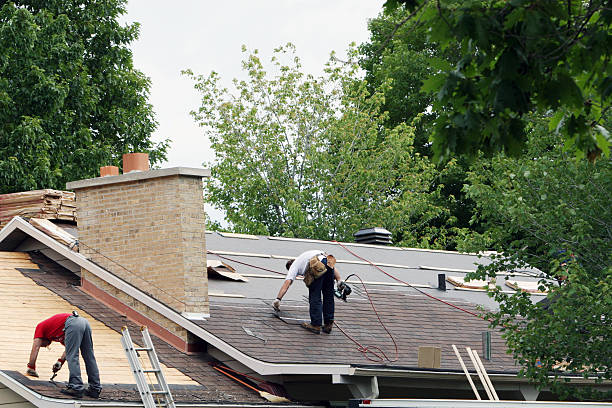 Quick and Trustworthy Emergency Roof Repair Services in Northdale, FL