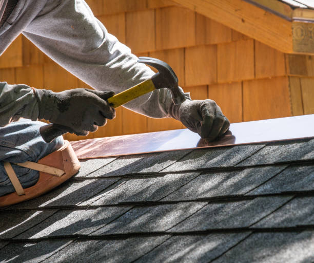 Best Commercial Roofing Services  in Northdale, FL